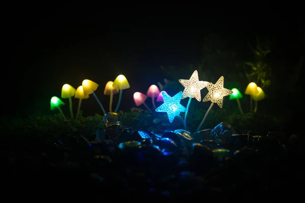 Fantasy Glowing Mushrooms Mystery Dark Forest Close Beautiful Macro Shot — Stock Photo, Image