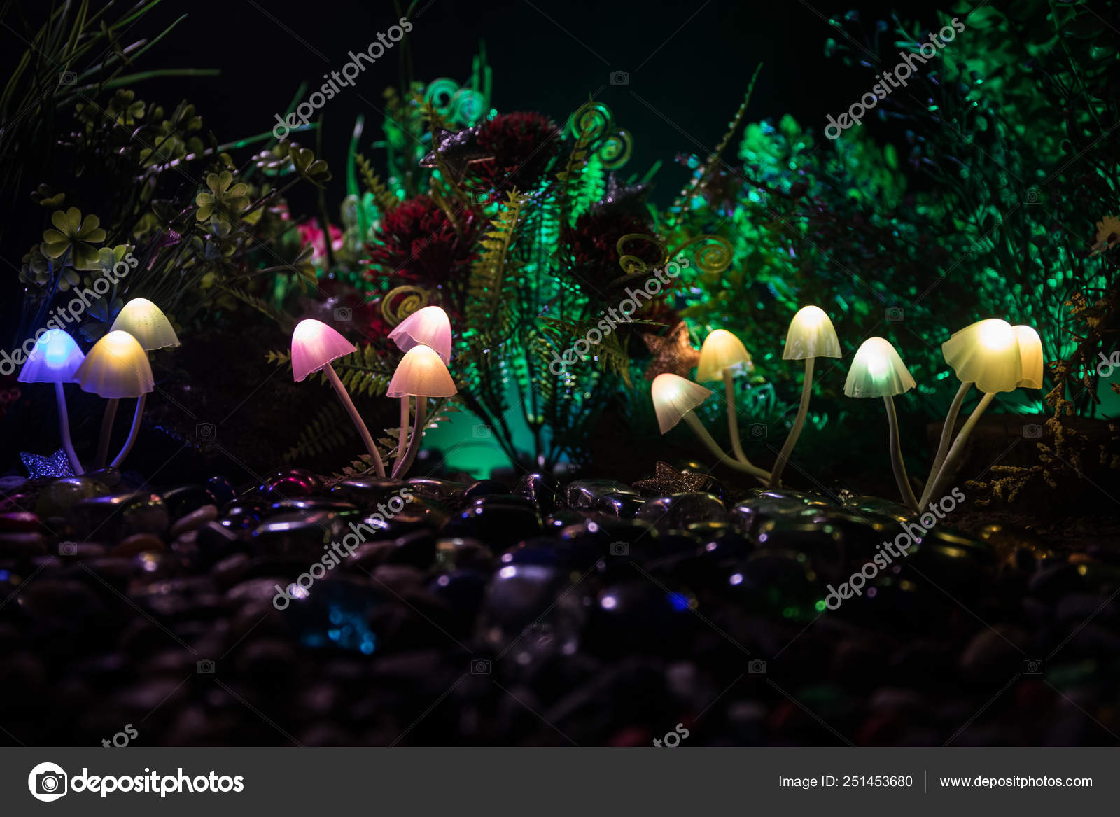 photo Fantasy Beautiful Dark Forest Background fantasy glowing mushrooms mystery dark forest close beautiful macro shot stock photo image by c zeferli gmail com 251453680