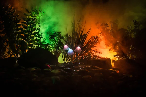Fantasy Świecące Grzyby Tajemnicy Ciemnego Lasu Zbliżenie Piękny Makro Pchnięciu — Zdjęcie stockowe