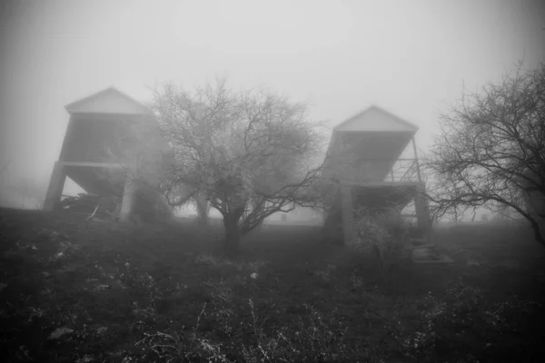 Mysterieuze Huis Het Bos Met Mist Een Boom Het Oude — Stockfoto