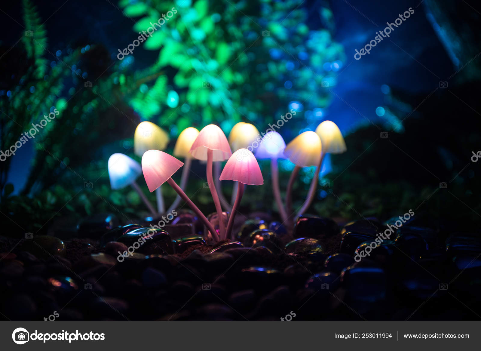 幻想发光的蘑菇在神秘的黑暗森林特写镜头神奇蘑菇或灵魂在阿凡达森林中迷失的美丽的宏观镜头与雾的背景上的仙灯选择性对焦 幻想发光的蘑菇在神秘的黑暗森林特写镜头神奇蘑菇或灵魂在阿凡达森林中迷失的美丽的宏观镜头与雾的背景上的仙灯选择性对焦