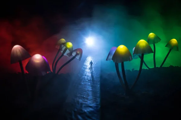 Walking through fantasy giant glowing mushroom forest. Silhouette of a man standing in the middle of the road on a misty night with giant fantasy glowing mushrooms on both sides of road.