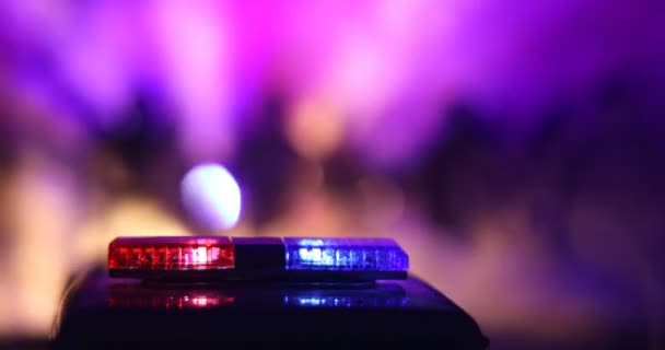 Politieagenten Met Politieauto Nachts Met Mist Achtergrond — Stockvideo