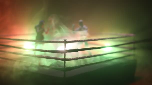 Box Ring Scene Personaggi Boxe Posa Figura Decorazione Opere Arte — Video Stock