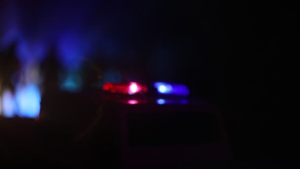 Polizisten Mit Polizeiautos Der Nacht Mit Nebelhintergrund — Stockvideo