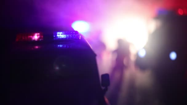 Politimænd Med Politibiler Natten Med Tågebaggrund – Stock-video