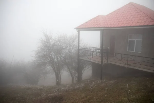 Mysterious house in the forest with fog and a tree. The old spooky house on the land of nowhere. Winter Landscape