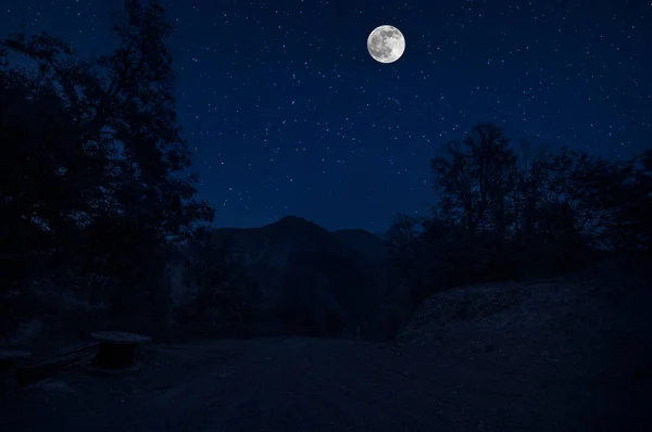 山路在满月之夜穿过森林 风景秀丽的乡村路风景在晚上与大月亮 — 图库照片