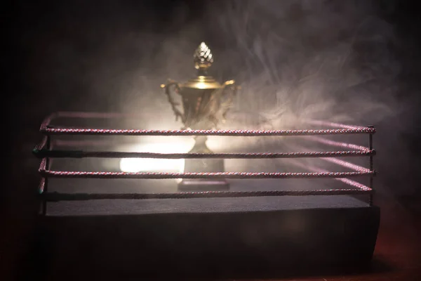 Empty boxing ring with red ropes for match in the stadium arena. Creative artwork decoration. Foggy background with light. Selective focus