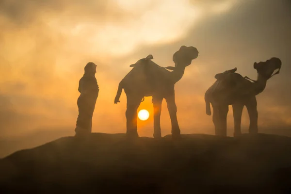 Deve Kervan Günbatımında Çölde Kum Tepeleri Geçmekte Eastern Seyahat Kavramı — Stok fotoğraf