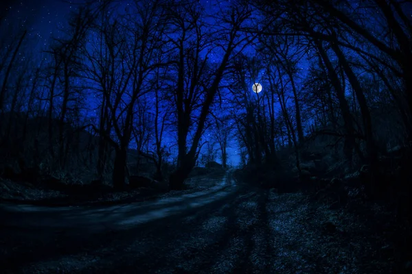 Horská cesta lesem po celé měsíční noci. Malebná noční krajina na venkově v noci s velkým měsícem. Dlouhá závěrka — Stock fotografie