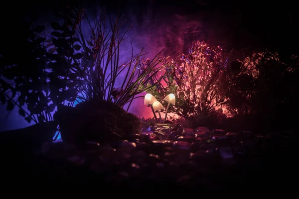 Fantasy Glowing Mushrooms Mystery Dark Forest Close Beautiful Macro Shot — Stock Photo, Image