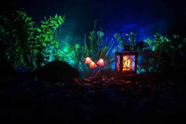 Gizem karanlık ormanın yakın çekim içinde parlayan mantar fantezi. Sihirli mantar veya avatar ormanda kayıp ruhlar güzel makro çekim. Peri ışıkları sis zemin üzerine. Seçici odak