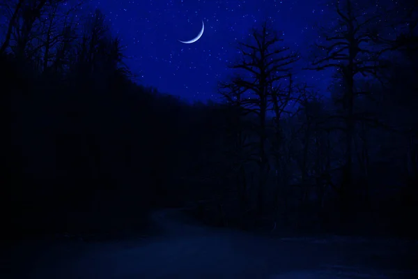 Mountain Road a través del bosque en una noche de luna llena. Paisaje nocturno escénico de carretera rural por la noche con luna grande. Fotografía del obturador largo — Foto de Stock