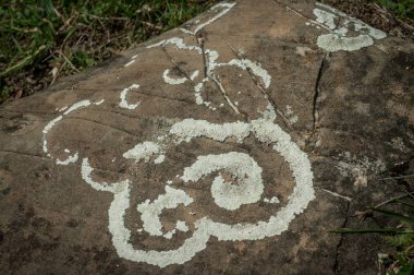 Yosun ve liken bir taş üzerinde büyür. Makro. arka plan liken yosun taş. Azerbaycan sonbahar doğa. Seçici odak