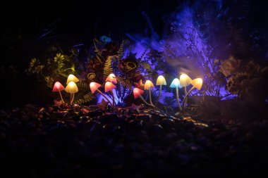 Gizem karanlık ormanın yakın çekim içinde parlayan mantar fantezi. Sihirli mantar veya avatar ormanda kayıp ruhlar güzel makro çekim. Peri ışıkları sis zemin üzerine. Seçici odak