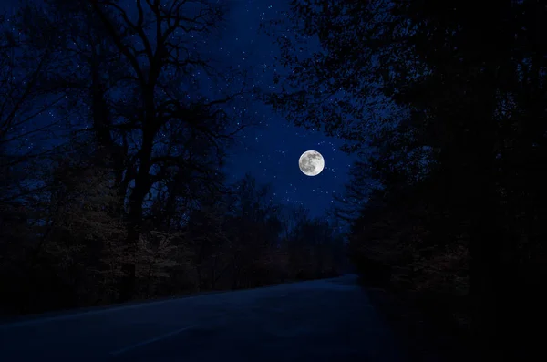 Mountain Road através da floresta em uma noite de lua cheia. Paisagem noturna cênica de estrada rural à noite com grande lua. Longa foto do obturador — Fotografia de Stock