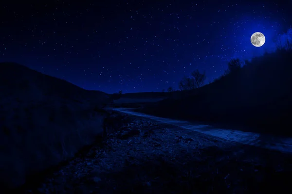 Mountain Road through the forest on a full moon night. Scenic night landscape of country road at night with large moon. Long shutter photo — Stock Photo, Image