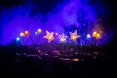 Gizem karanlık ormanın yakın çekim içinde parlayan mantar fantezi. Sihirli mantar veya avatar ormanda kayıp ruhlar güzel makro çekim. Peri ışıkları sis zemin üzerine. Seçici odak