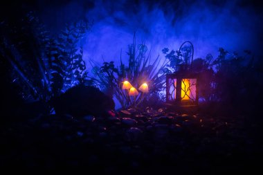 Gizem karanlık ormanın yakın çekim içinde parlayan mantar fantezi. Sihirli mantar veya avatar ormanda kayıp ruhlar güzel makro çekim. Peri ışıkları sis zemin üzerine. Seçici odak