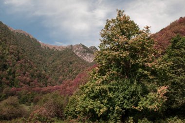 Güneşin doğuşuyla dağların güzel manzarası. Gün batımında dağlar. Azerbaycan Kafkasya Dağları
