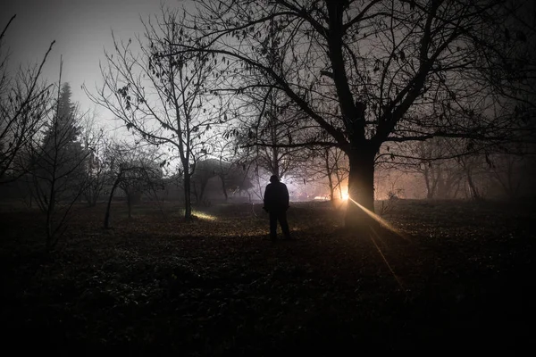 Luminosa Luce Una Foresta Buia Notte Silhouette Persona Piedi Nella — Foto Stock