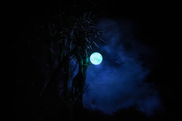 Belle Lampe Lune Dans Jardin Dans Nuit Brumeuse Lanterne Style — Photo