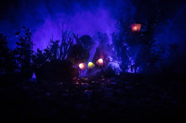 Gizem karanlık ormanın yakın çekim içinde parlayan mantar fantezi. Sihirli mantar veya avatar ormanda kayıp ruhlar güzel makro çekim. Peri ışıkları sis zemin üzerine. Seçici odak