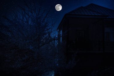 Geceleri ormanda bir hayaletin olduğu eski bir ev ya da sis içinde terk edilmiş bir korku evi. Ölü ağaç ormanındaki eski mistik bina. Geceleri aylı ağaçlar. Gerçeküstü ışıklar. Korku Cadılar Bayramı konsepti