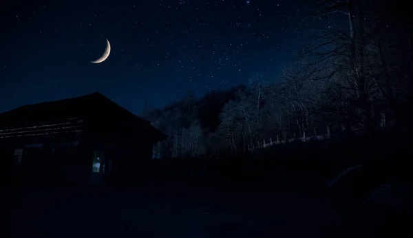 晚上森林里有鬼的老房子 或在雾中被遗弃的鬼屋 枯树森林里的古老神秘建筑 夜晚与月亮同在的树 超现实的灯 可怕的万圣节概念 — 图库照片