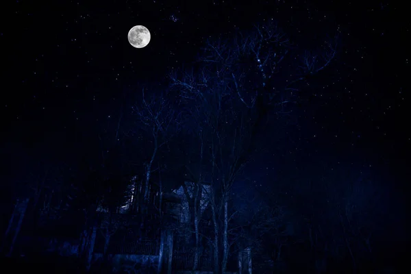 Régi Ház Egy Szellemmel Erdőben Éjszaka Vagy Elhagyott Kísértetjárta Horror — Stock Fotó