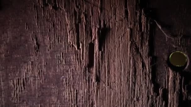 Dark Vintage Wood Texture Close View Old Grunge Dark Wooden — Stock Video