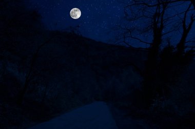 Dağ yolu ormandaki bir dolunay gecesi. Ülke yolun gece büyük moon ile doğal gece manzarası