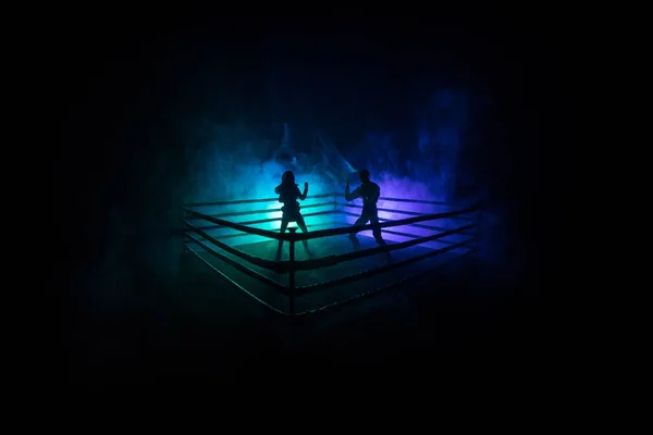 Boxe Homme Femme Sur Ring Concept Sportif Décoration Oeuvre Avec — Photo