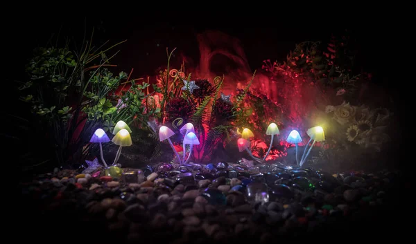 Fantasia Cogumelos Brilhantes Mistério Floresta Escura Close Belo Tiro Macro — Fotografia de Stock