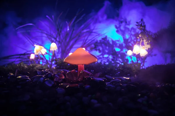 Gizem Karanlık Ormanın Yakın Çekim Içinde Parlayan Mantar Fantezi Sihirli — Stok fotoğraf