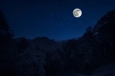 Dağ yolu ormandaki bir dolunay gecesi. Ülke yolun gece büyük moon ile doğal gece manzarası
