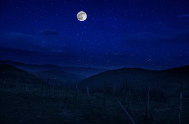 Dolunay gecesi ormanın içinden mountain road. Büyük ay ile gece ülke yol Manzara gece manzara. Uzun deklanşör fotoğrafı