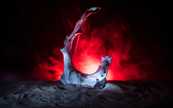 Zvířecí Kost Temné Halloweenské Noci Mlhou Světlem Pozadí Selektivní Zaměření — Stock fotografie