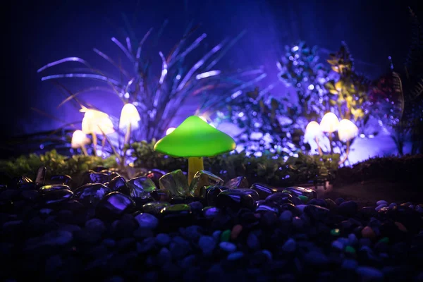 Fantasy glowing mushrooms in mystery dark forest close-up. Beautiful macro shot of magic mushroom or souls lost in avatar forest. Fairy lights on background with fog. Selective focus