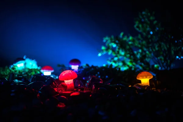 Fantasy glowing mushrooms in mystery dark forest close-up. Beautiful macro shot of magic mushroom or souls lost in avatar forest. Fairy lights on background with fog. Selective focus
