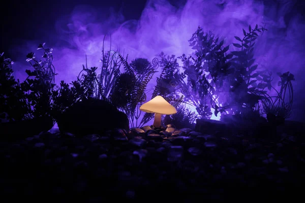 Fantasy glowing mushroom in mystery dark forest close-up. Beautiful macro shot of magic mushroom or souls lost in avatar forest. Fairy lights on background with fog. Selective focus