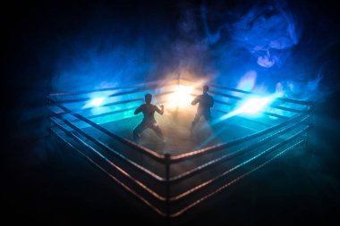 Dövüş halka bir boks kırmızı ipler ile sahnede karate sporcular. Karakter karate. Şekil sanat dekorasyon poz. Spor kavram. Sisli arka plan ışık ile dekore edilmiştir. Seçici odak