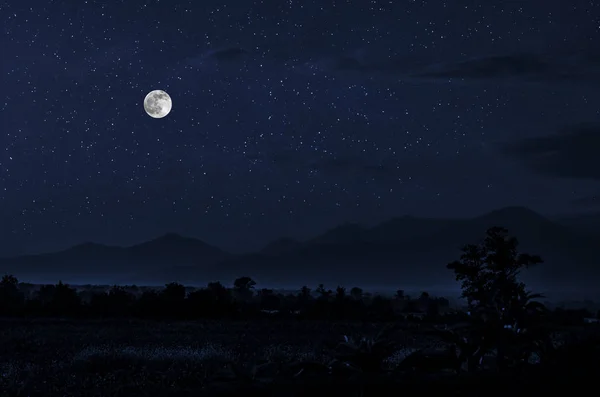 Górska droga przez las w nocy pełno księżyca. Malowniczy nocny krajobraz drogi wiejskiej w nocy z dużym Księżycem. Długie zdjęcie migawki — Zdjęcie stockowe