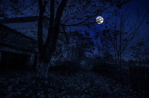 Starý dům s Ghost v lese v noci nebo opuštěné strašidelného domu hrůzy v mlze. Stará budova mystic v lese mrtvý strom. Stromy v noci měsíc. Surrealistické světla. — Stock fotografie