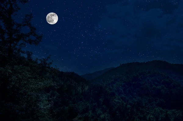 Mountain Road a través del bosque en una noche de luna llena. Paisaje nocturno escénico de carretera rural por la noche con luna grande. Fotografía del obturador largo — Foto de Stock