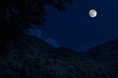 Dolunay gecesi ormanın içinden mountain road. Büyük ay ile gece ülke yol Manzara gece manzara. Uzun deklanşör fotoğrafı
