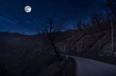 Dolunay gecesi ormanın içinden mountain road. Büyük ay ile gece ülke yol Manzara gece manzara. Uzun deklanşör fotoğrafı
