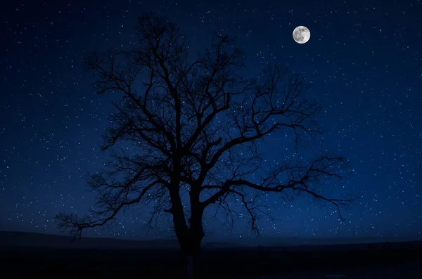 Mountain Road através da floresta em uma noite de lua cheia. Paisagem noturna cênica de estrada rural à noite com grande lua. Longa foto do obturador — Fotografia de Stock