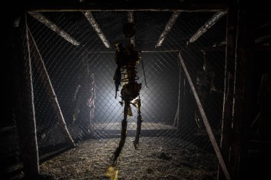 Korku görünümü (gece) akşam intihar dekorasyon ağaca asılmış bir kız. Ölüm cezası infaz veya intihar soyut fikir. Farklı arka plan dekorasyon